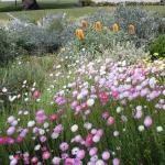 カーヴ隠れや 藤が丘